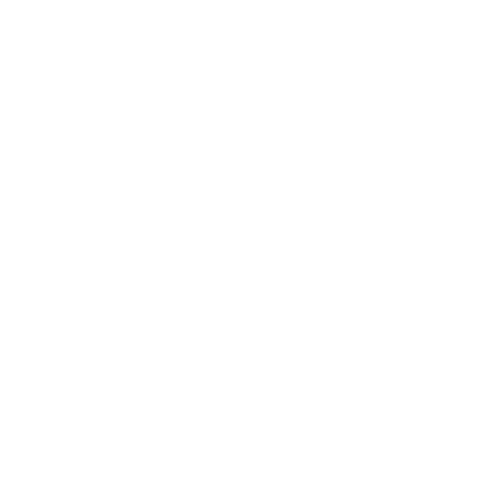 Digital Africa